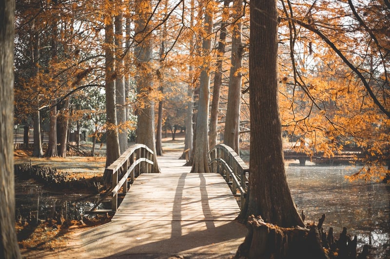 Park Walk